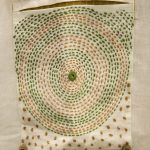 Anushri White